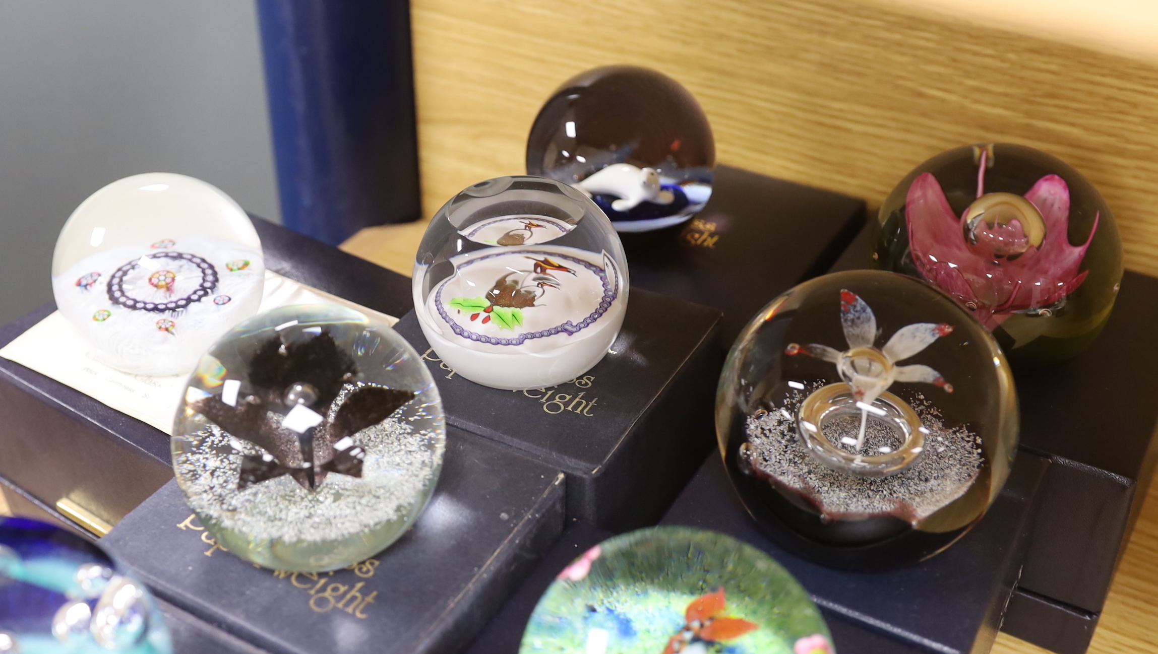 Eight Caithness paperweights, boxed, some limited edition, including Latticino
